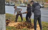 Субботник с душой: когда забота о городе объединяет фото 8