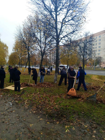 Субботник с душой: когда забота о городе объединяет фото 17